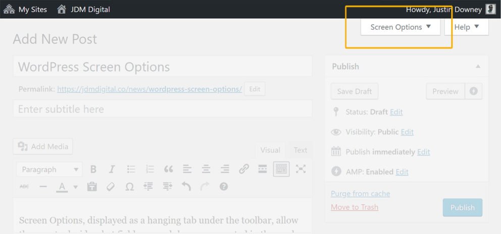 WordPress Screen Options Close-up